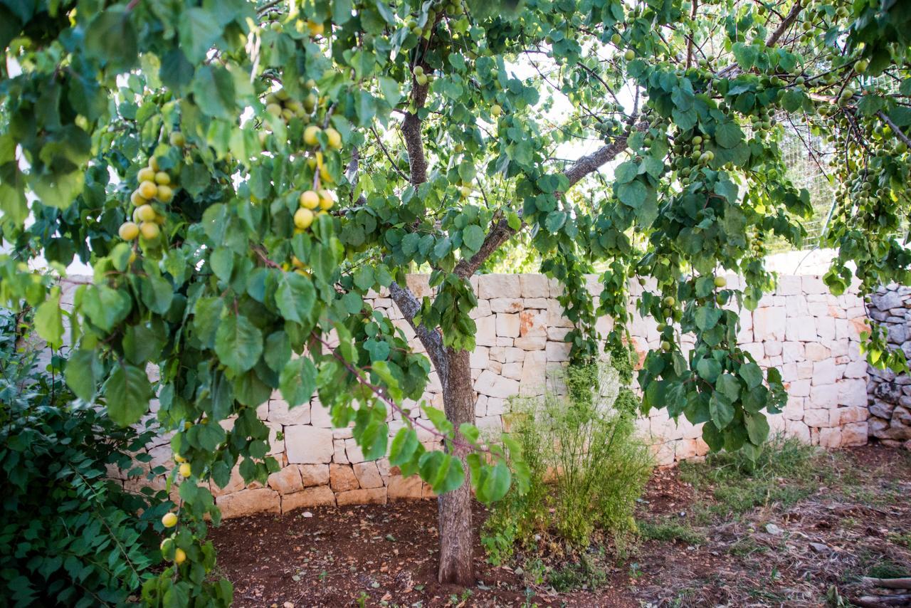 Giardino Segreto Putignano Exterior foto